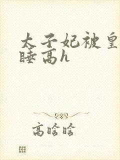 太子妃被皇上强睡高h封面