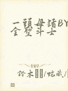 一头母猪BY黄金圣斗士