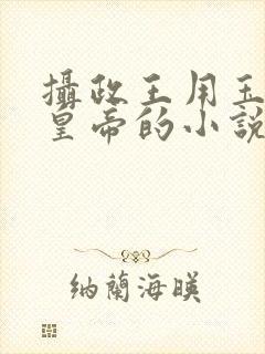 摄政王用玉髓整皇帝的小说