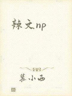 辣文np封面