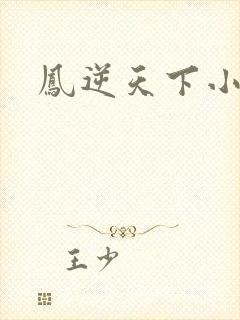 凤逆天下小说
