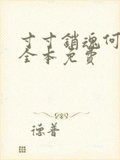 寸寸销魂何生祥全本免费封面