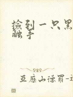 捡到一只黑心小触手