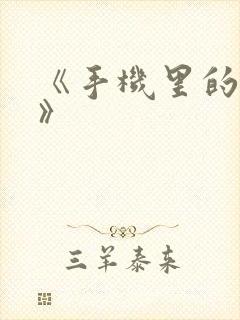 《手机里的秘密》封面