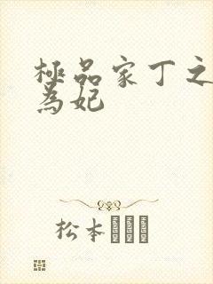 极品家丁之册母为妃