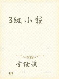 3级小说