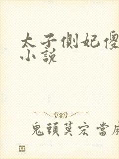 太子侧妃傻乎乎小说