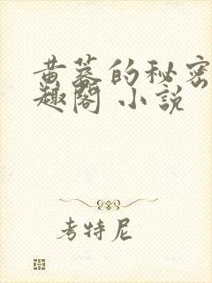 黄蓉的秘密 笔趣阁 小说