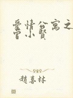 爱情公寓之极品曾小贤封面