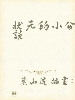 状元的小公主小说