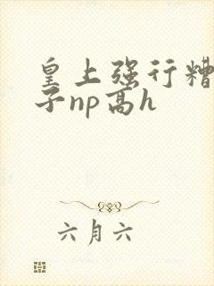 皇上强行糟蹋太子np高h