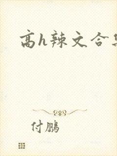 高h辣文合集