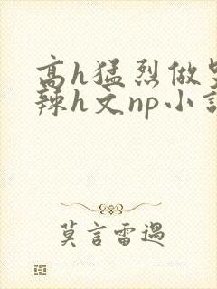 高h猛烈做哭高辣h文np小说封面