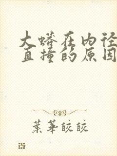 大蟒在内径横冲直撞的原因封面