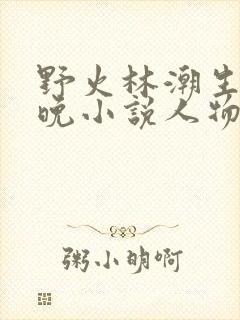 野火林潮生林晚晚小说人物野火