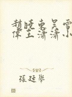 赵晓东吴雪晴郑伟王潇潇小说名字封面