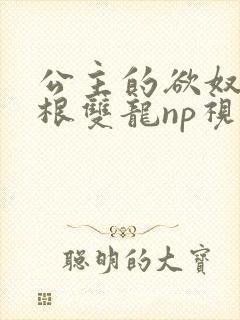 公主的欲奴h四根双龙np视频