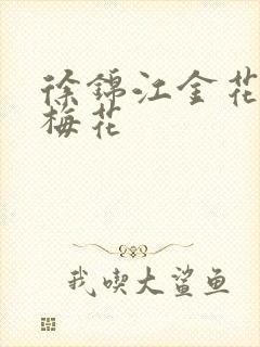 徐锦江金花瓶楷梅花封面