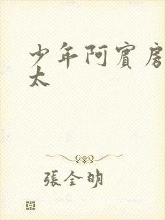 少年阿宾房东太太封面