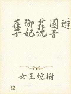 在御花园进入太子妃沈音