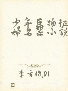 少年巨物征服美妇名器小说封面