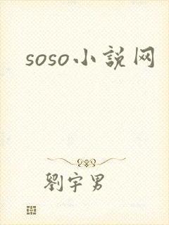 soso小说网