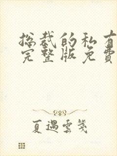 总裁的私有宝贝完整版免费阅读封面