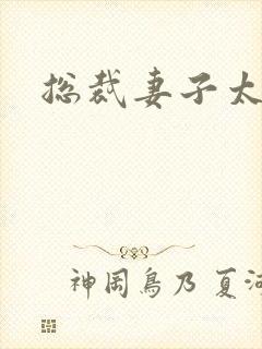 总裁妻子太诱人封面