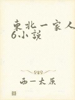 东北一家人1一6小说
