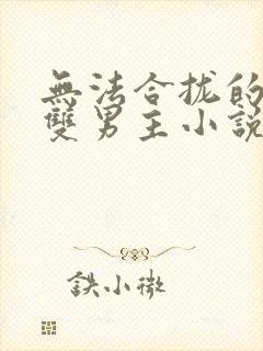 无法合拢的总裁双男主小说