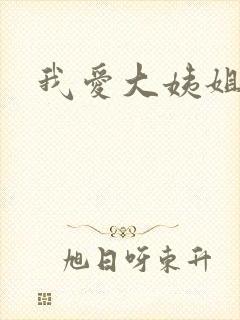我爱大姨姐封面