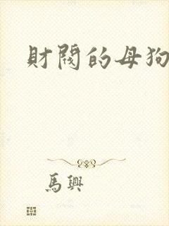 财阀的母狗们