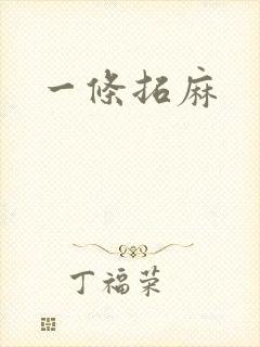 一条拓麻封面