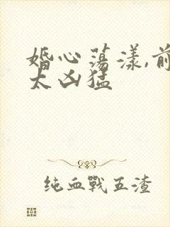 婚心荡漾,前夫太凶猛