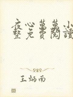 夜心万万小说完整免费阅读全文
