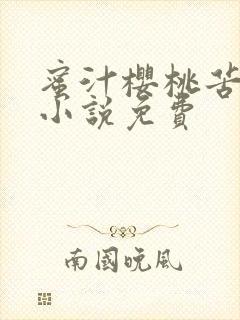 蜜汁樱桃苦咖啡小说免费