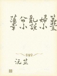 荡公乱妇第51章小说小莹