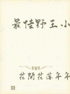 最佳野王小说封面