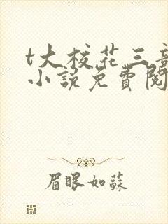 t大校花三部曲小说免费阅读全文