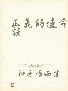 正义的使命 小说