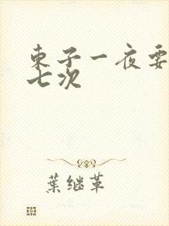 东子一夜要白洁七次封面