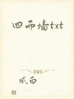 四面墙txt