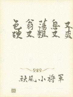 色翁荡息又大又硬又粗又爽小莹