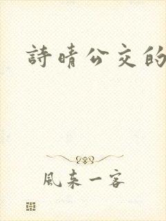 诗晴公交的小说