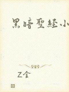 黑暗圣经小说封面