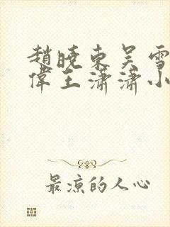 赵晓东吴雪晴郑伟王潇潇小说名字