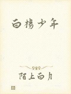 白杨少年