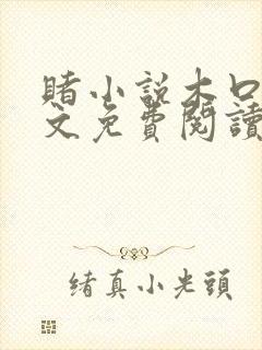 赌小说木口银全文免费阅读笔趣阁