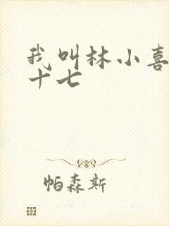 我叫林小喜今年十七