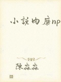 小说肉糜np